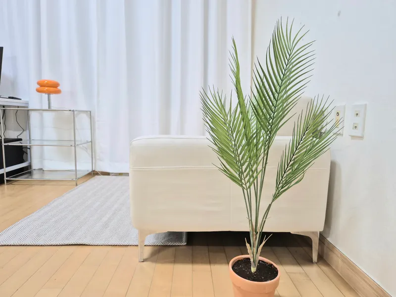 house image 3