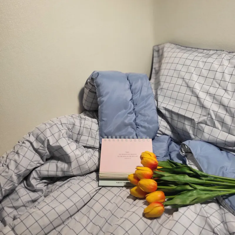 Micro-Studio in Dongdaemun, Seoul — 6m², sleeps 1