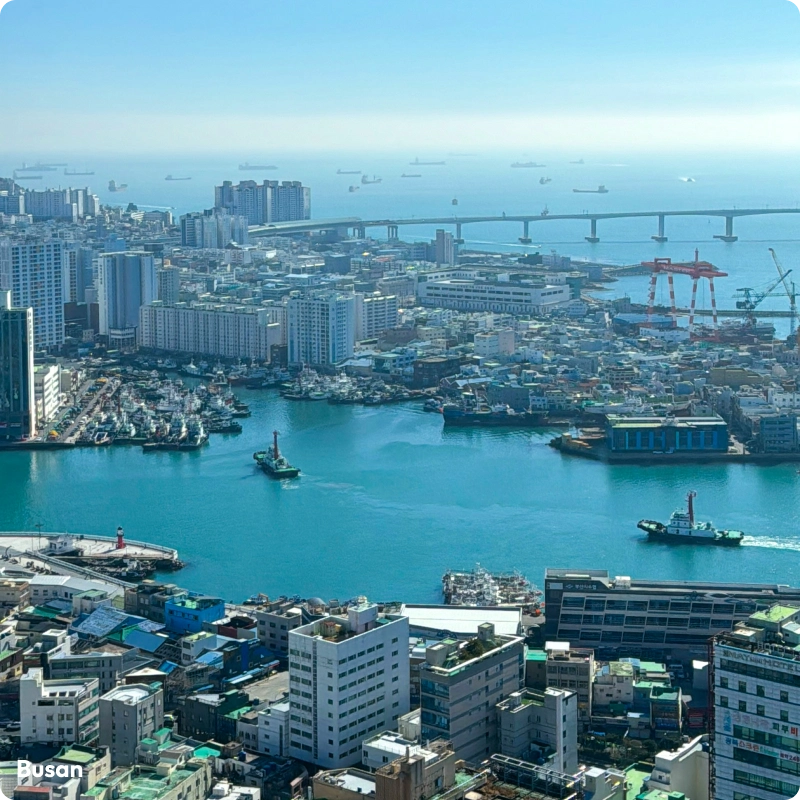 busanRegion